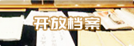 开放档案