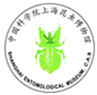 上海昆虫博物馆