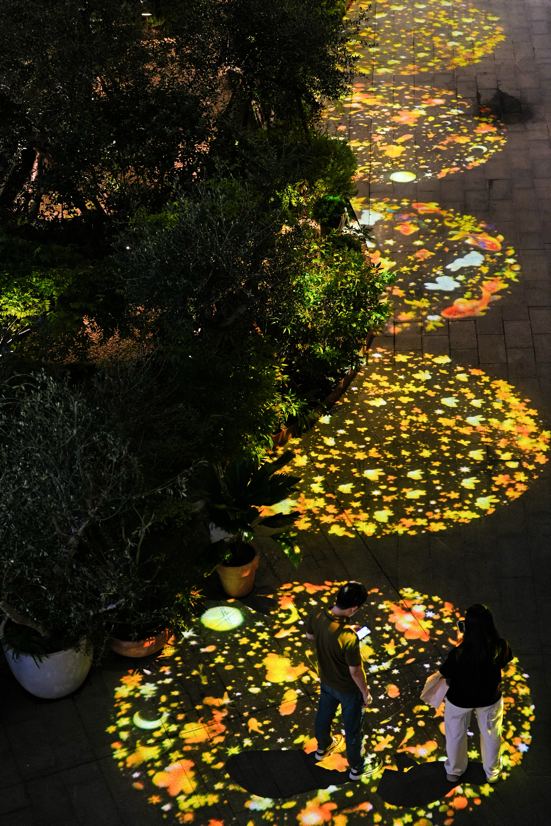 微信图片_2026-09-20_134531_940.png 微信图片_2026-09-20_134531_940.png