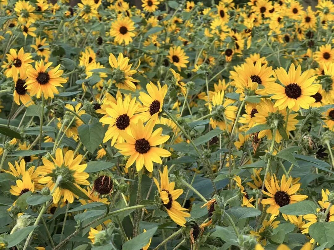 微信图片_2026-07-20_101102_265.jpg