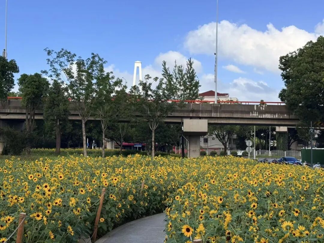 微信图片_2026-07-20_101059_081.jpg