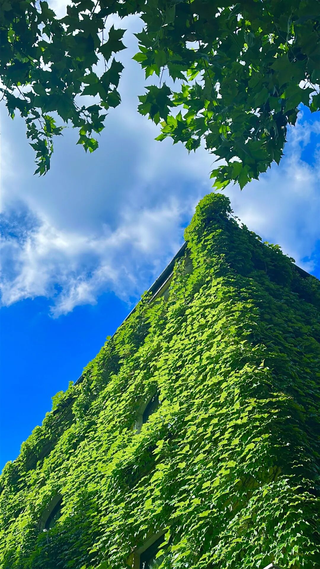 微信图片_2026-08-26_135932_662.jpg 微信图片_2026-08-26_135932_662.jpg