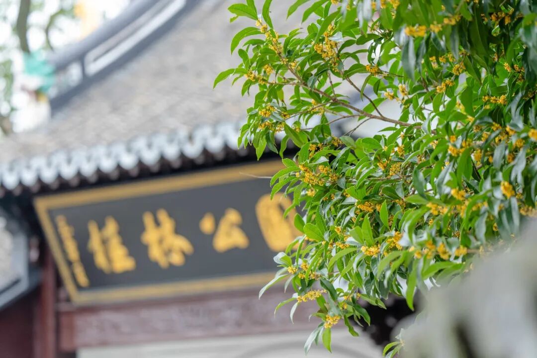 微信图片_2026-10-12_153355_057.jpg 微信图片_2026-10-12_153355_057.jpg
