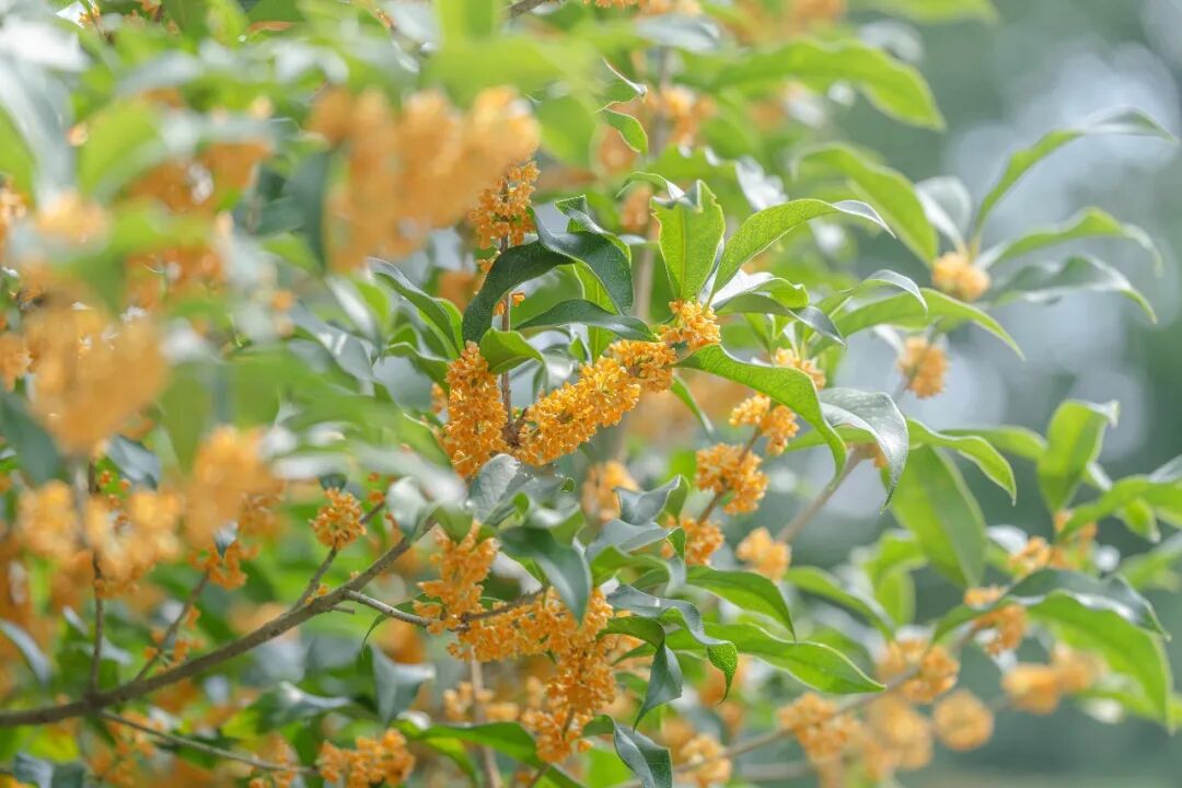 微信图片_2026-10-12_153435_716.jpg 微信图片_2026-10-12_153435_716.jpg
