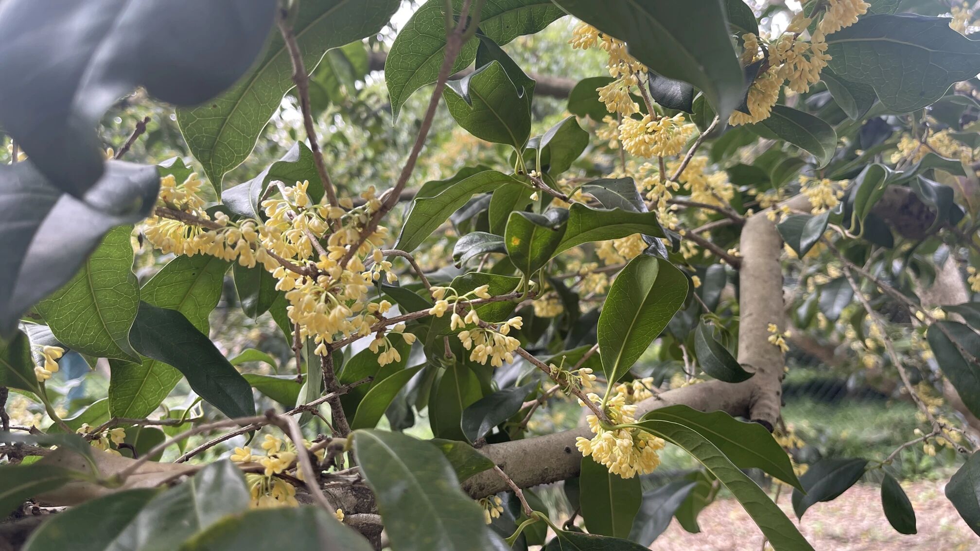 微信图片_2026-10-10_171445_470.jpg 微信图片_2026-10-10_171445_470.jpg