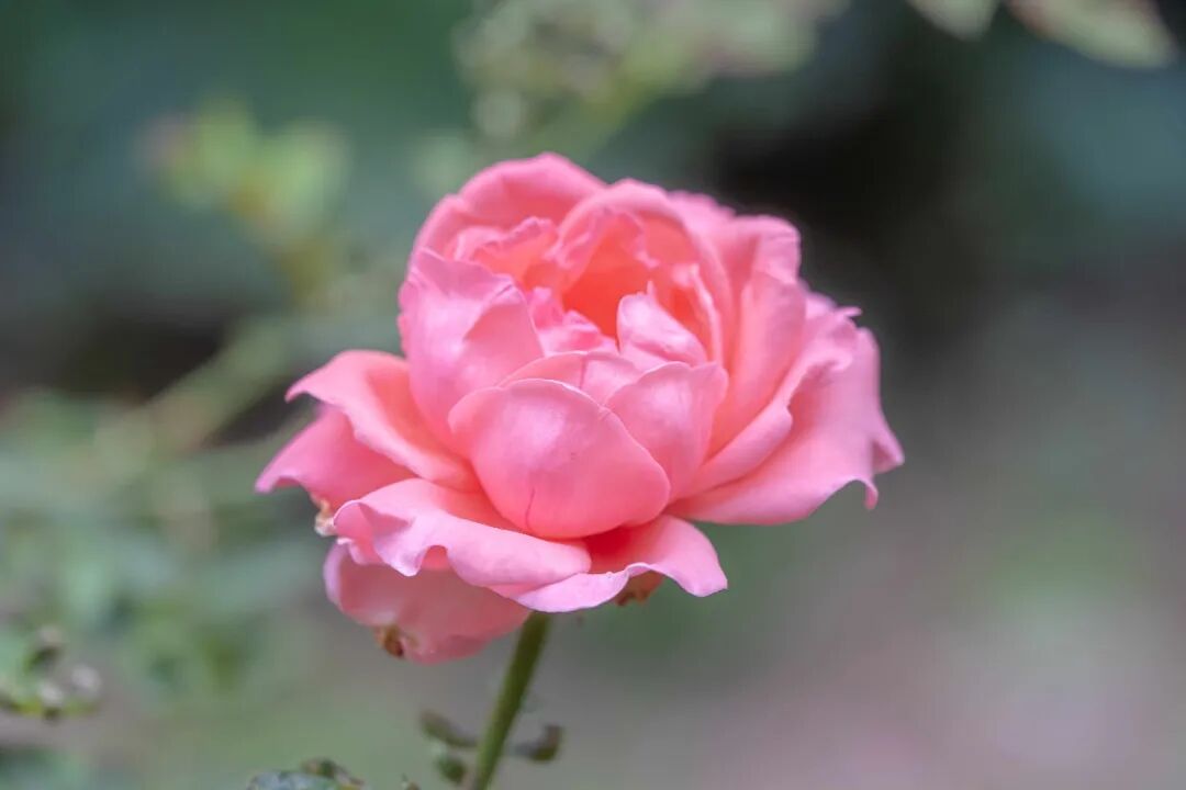微信图片_2026-10-19_102114_479.jpg 微信图片_2026-10-19_102114_479.jpg