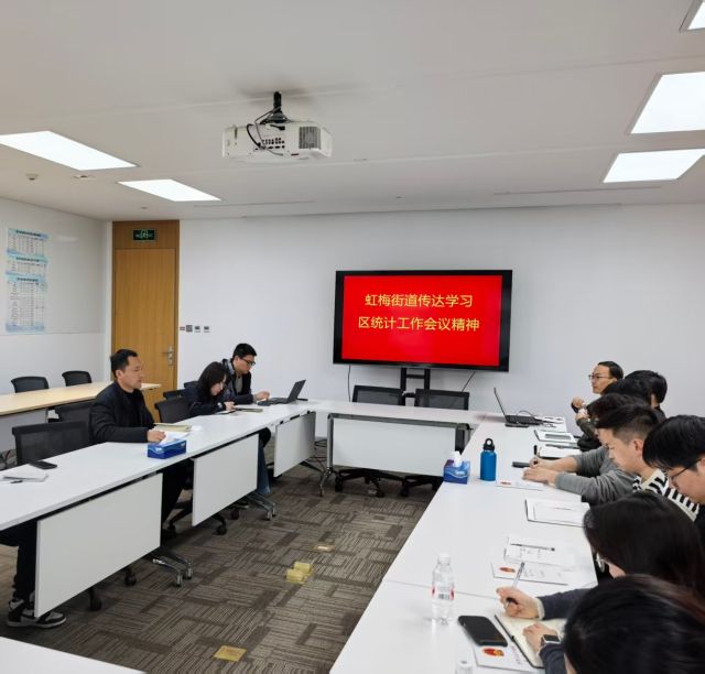 0401_101056_139.jpg 虹梅街道统计会议1.jpg