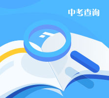 中考查询