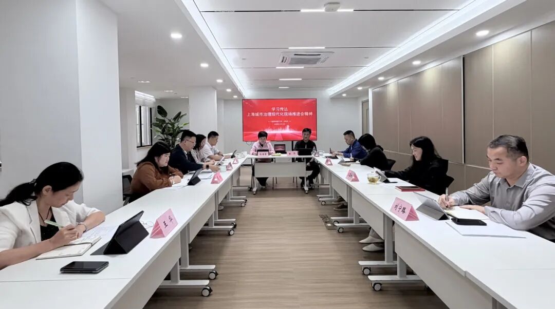 锚定方向、笃行实干，湖南街道深入传达学习全市城市治理现代化现场推进会精神